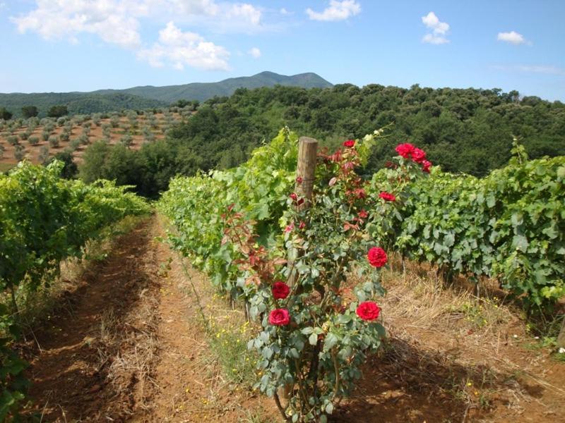 Montebelli Agriturismo&Country Hotel Caldana Esterno foto