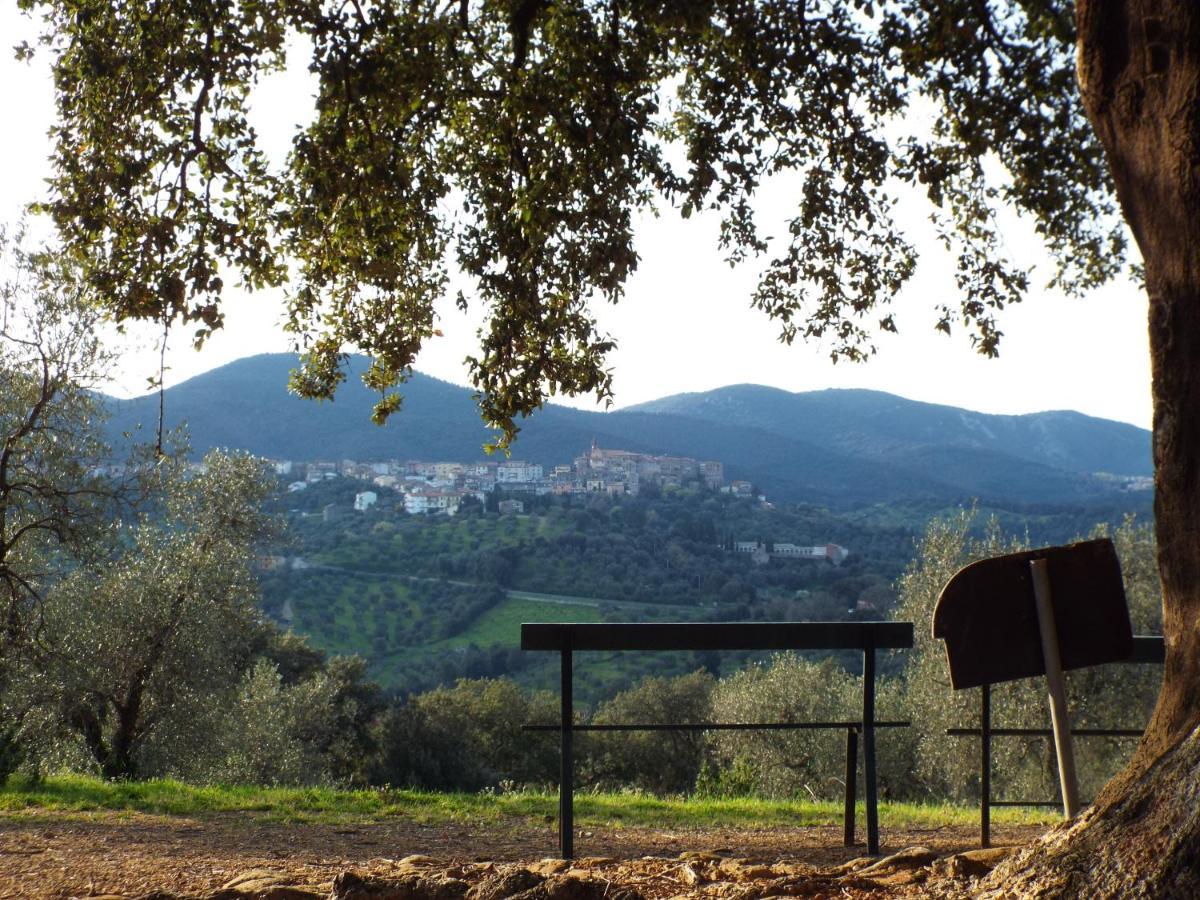 Montebelli Agriturismo&Country Hotel Caldana Esterno foto
